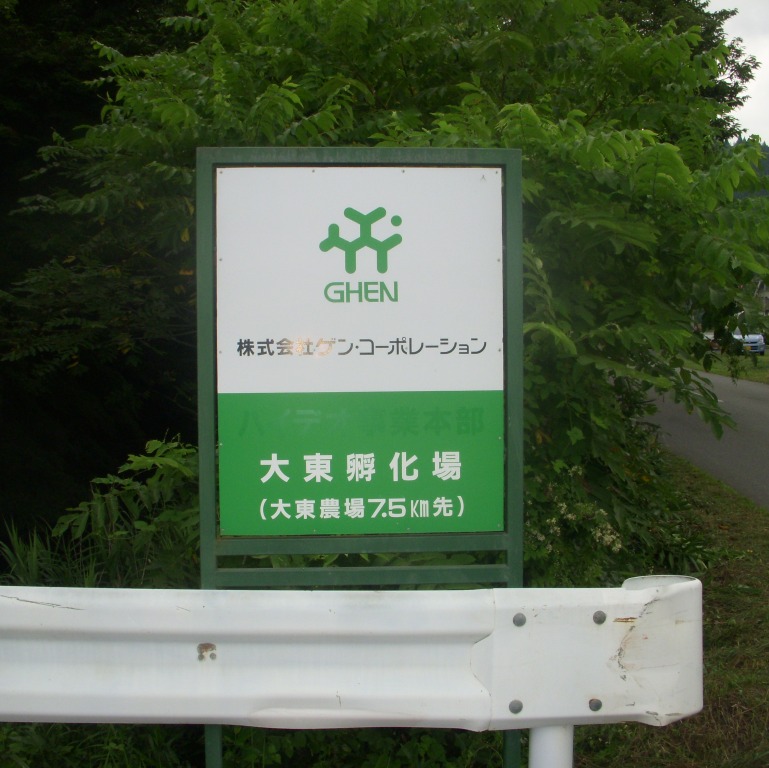 zW